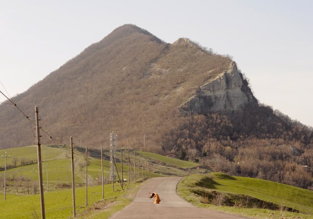 Alessandra Neri - My Place My Roots